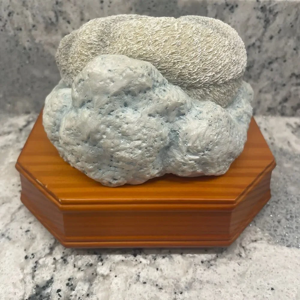 National Geographic Polar Bear Music Box Plays A Dream Is A Wish Your Heart Make